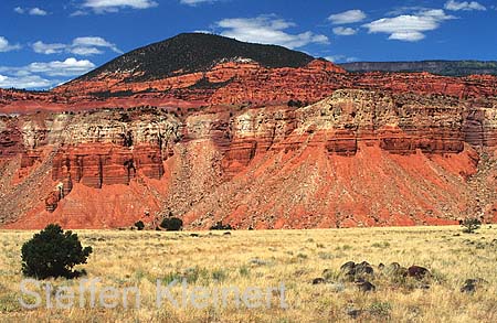 capitol reef np - utah - usa 005