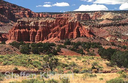 capitol reef np - utah - usa 011