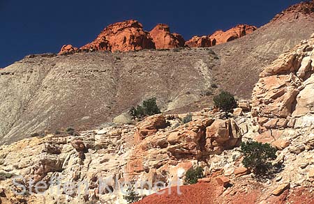 capitol reef np - utah - usa 013