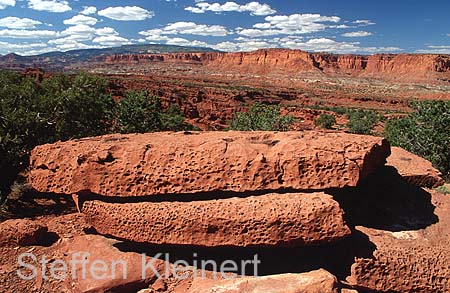 capitol reef np - utah - usa 023