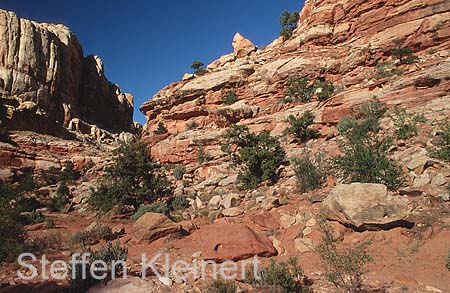 capitol reef np - utah - usa 030