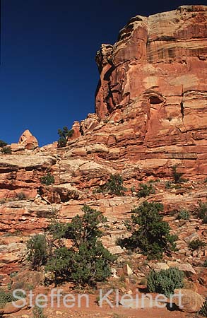 capitol reef np - utah - usa 031