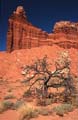 capitol reef np - chimney rock - utah - usa 019