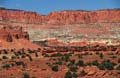 capitol reef np - utah - usa 009