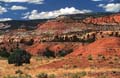 capitol reef np - utah - usa 012