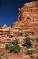 capitol reef np - utah - usa 031