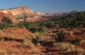 capitol reef np - utah - usa 032