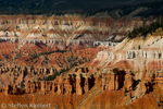 Cedar Breaks National Monument, Utah, USA 04