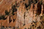 Cedar Breaks National Monument, Utah, USA 22