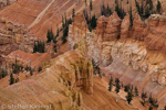 Cedar Breaks National Monument, Utah, USA 24