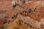 Cedar Breaks National Monument, Utah, USA 25