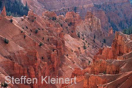 cedar breaks nm - utah usa 019