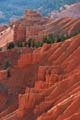 cedar breaks nm - utah usa 018