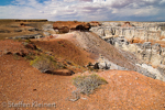 Coal Mine Canyon, Arizona, USA 23