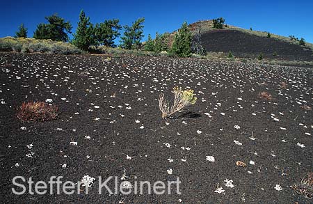 craters of the moon mn - lava - idaho 012
