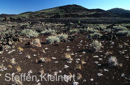 craters of the moon mn - lava - idaho 023