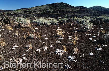 craters of the moon mn - lava - idaho 024