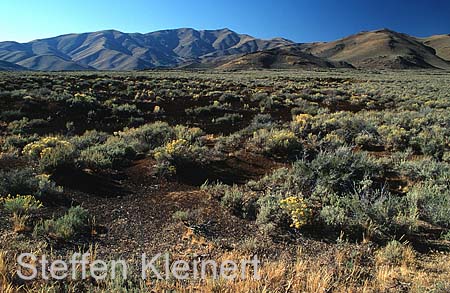 craters of the moon mn - lava - idaho 026