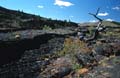 craters of the moon mn - lava - idaho 005