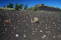 craters of the moon mn - lava - idaho 012