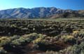 craters of the moon mn - lava - idaho 027