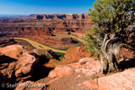 Dead Horse Point SP, Utah, USA  03