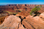 Dead Horse Point SP, Utah, USA  05