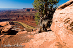 Dead Horse Point SP, Utah, USA  07