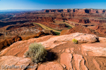 Dead Horse Point SP, Utah, USA  16