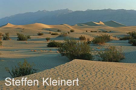 death valley - mesquite flat sand dunes 043