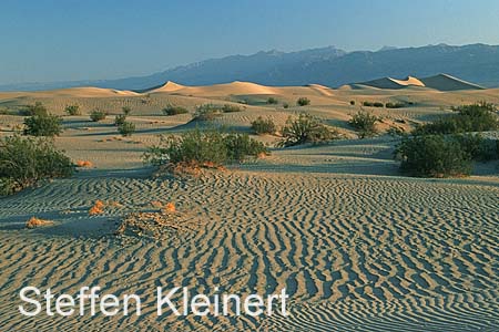 death valley - mesquite flat sand dunes 046