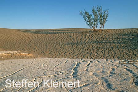 death valley - mesquite flat sand dunes 047