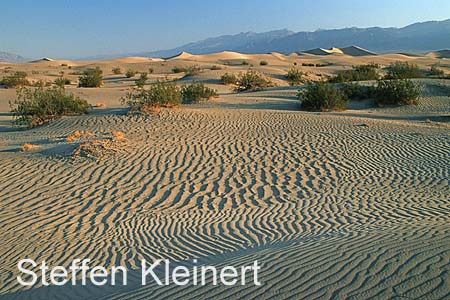 death valley - mesquite flat sand dunes 048