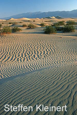 death valley - mesquite flat sand dunes 049