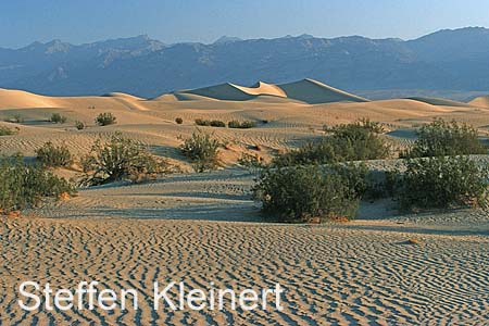 death valley - mesquite flat sand dunes 050