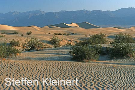 death valley - mesquite flat sand dunes 050