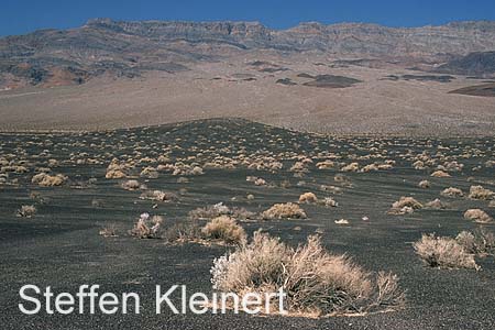 death valley - ubehebe crater - national park usa 057