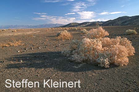 death valley 006