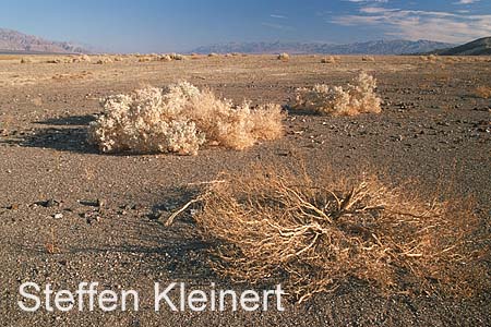 death valley 007