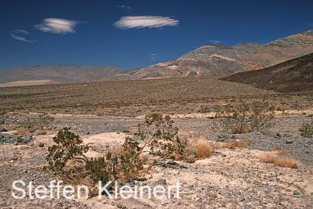 death valley 028