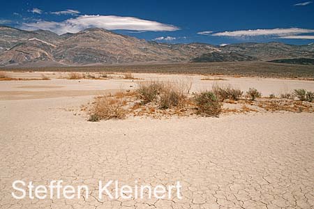 death valley - national park usa 031