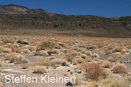 death valley - national park usa 035