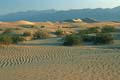 death valley - mesquite flat sand dunes 045