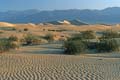 death valley - mesquite flat sand dunes 050