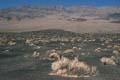 death valley - ubehebe crater 057