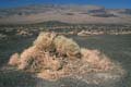 death valley - ubehebe crater 058