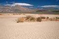 death valley 031