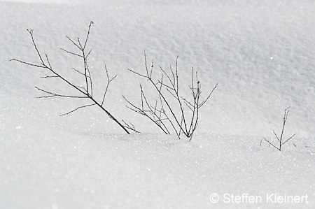 008 Deutschland - Bayern - Schneeimpressionen