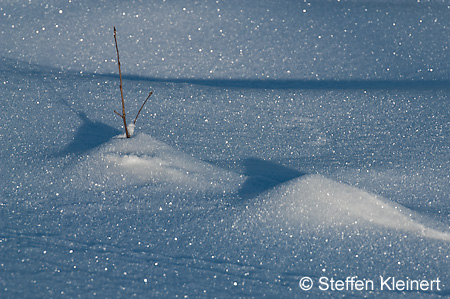 028 Deutschland - Bayern - Lusen - Schneeimpressionen