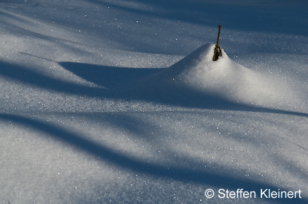 029 Deutschland - Bayern - Lusen - Schneeimpressionen